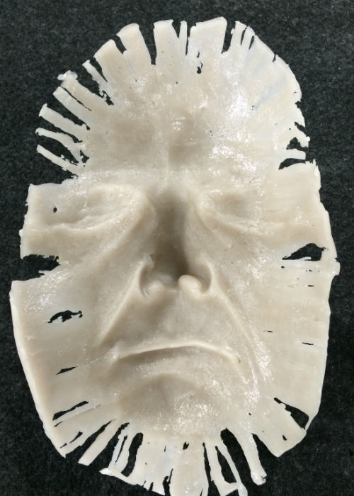 Concave wax mask of Peter Heywood
