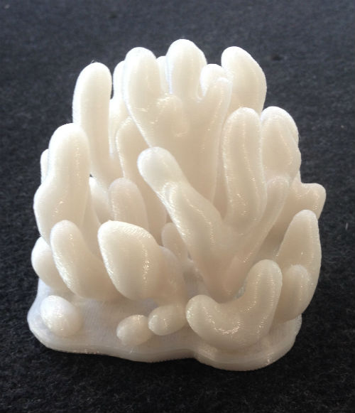 3D printed coral