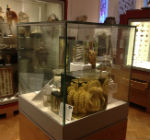 Museum display case