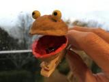 Past work - Singing Frog